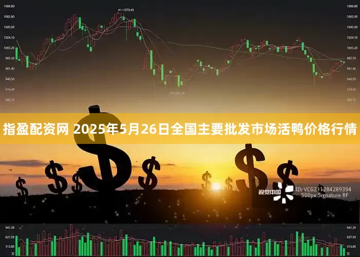指盈配资网 2025年5月26日全国主要批发市场活鸭价格行情