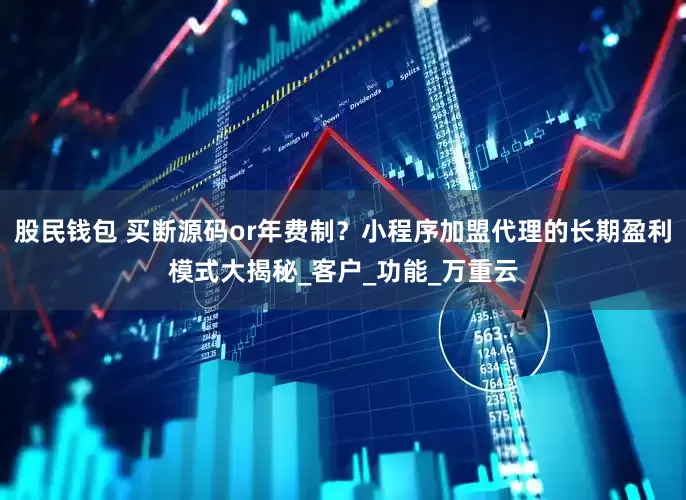 股民钱包 买断源码or年费制？小程序加盟代理的长期盈利模式大揭秘_客户_功能_万重云